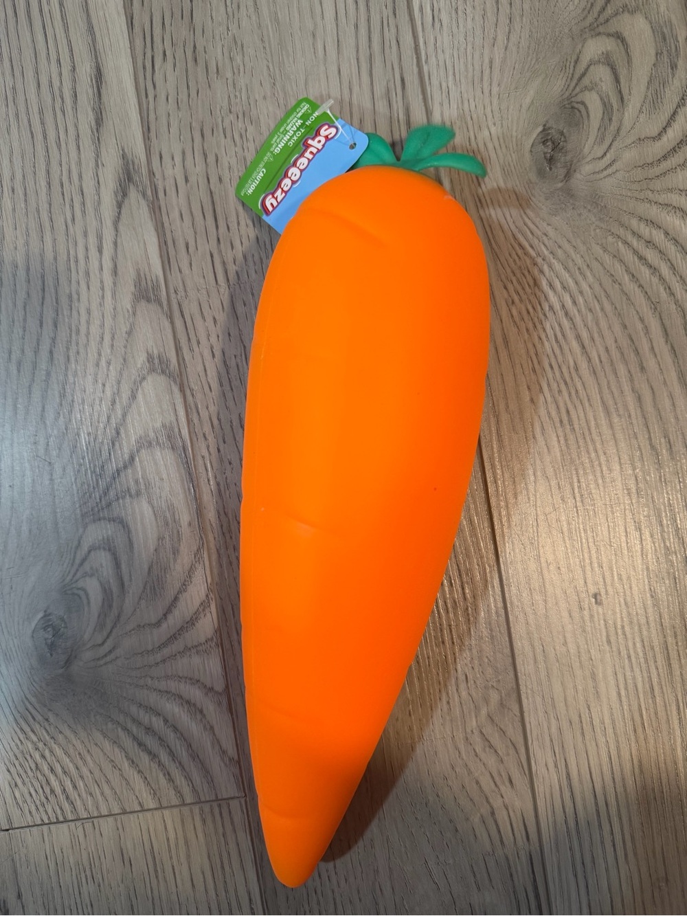 Jumbo carrot squishy!